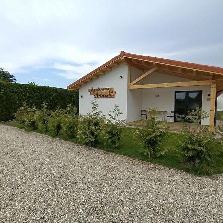 Apartamentos Aronces Cudillero Kültér fotó